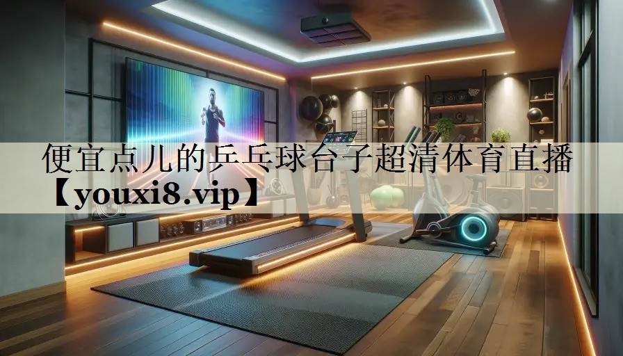 便宜点儿的乒乓球台子超清体育直播