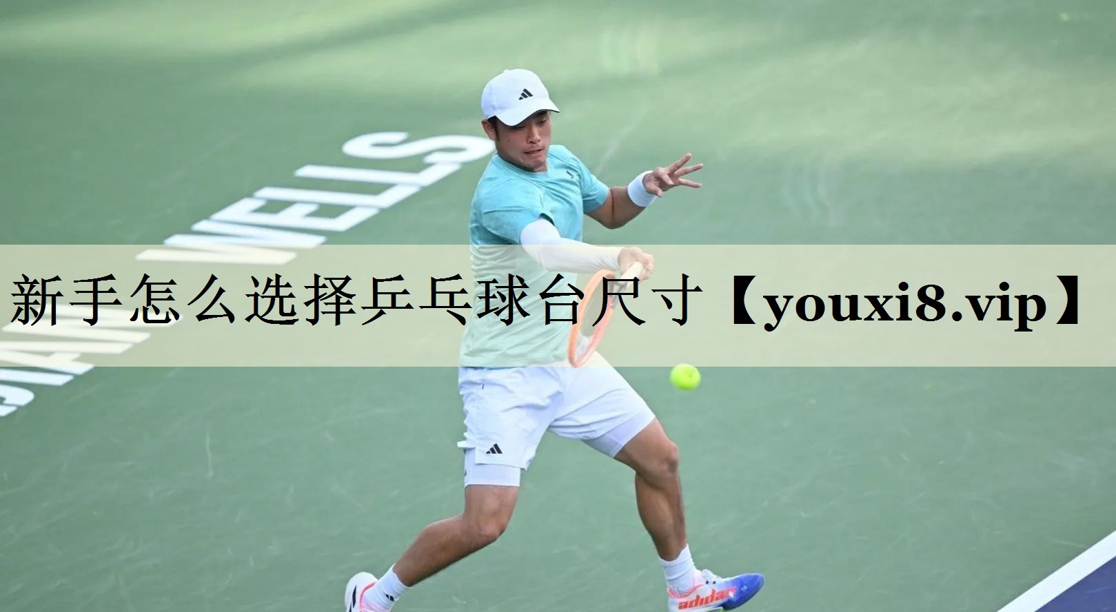新手怎么选择乒乓球台尺寸