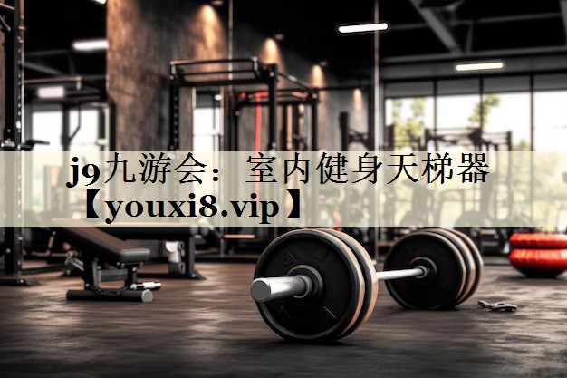 室内健身天梯器